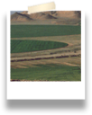 Desert irrigation near Al Kharj