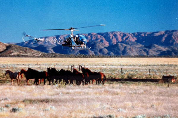 Helicoper and Cattle Australia