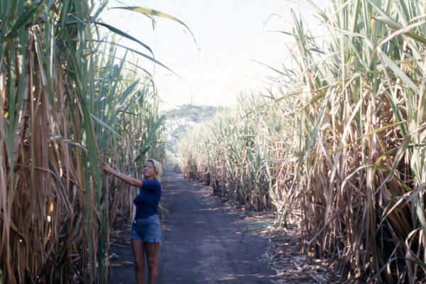Anne Watts in El Salvador