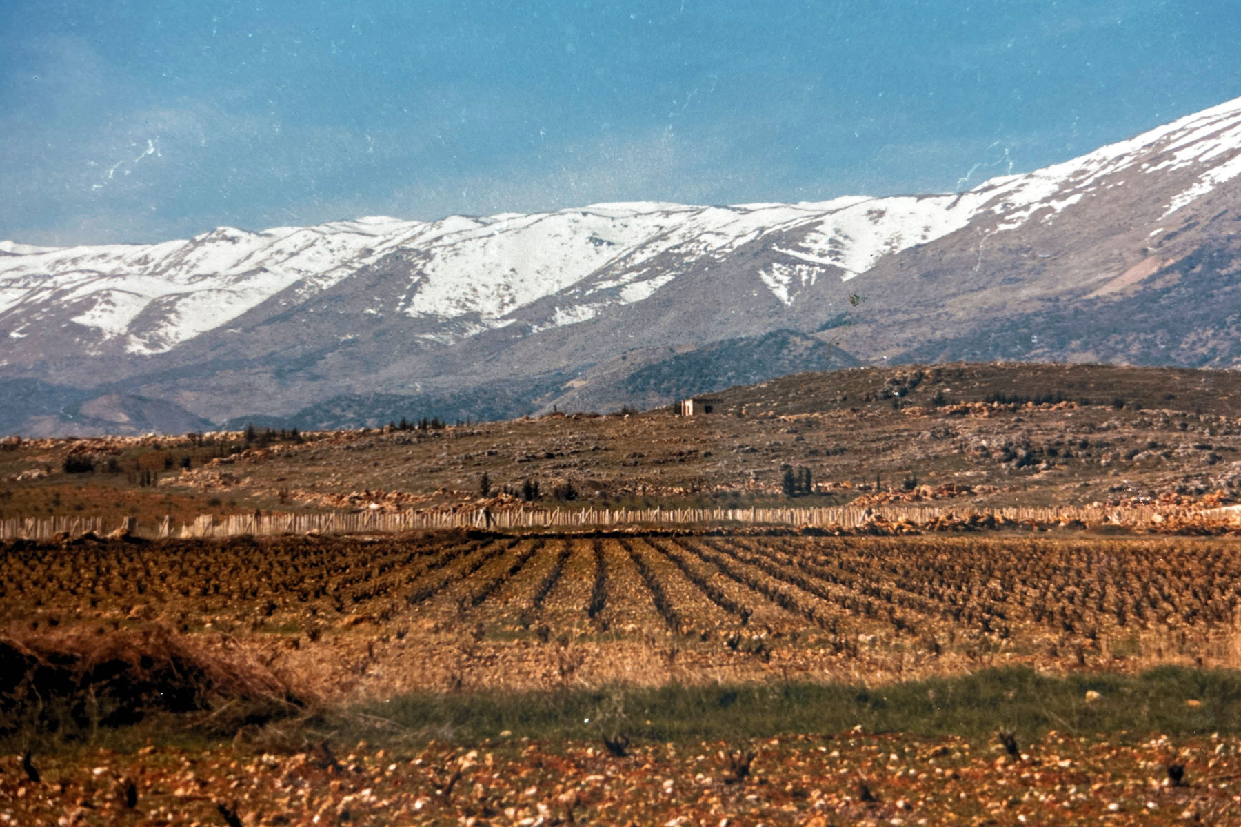 Sidon, Lebanon