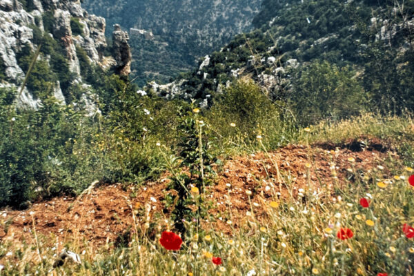 South Lebanon Countryside