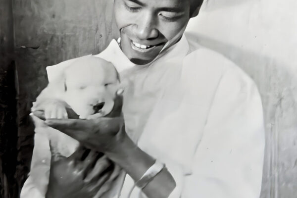 Doctor and puppy Vietnam war